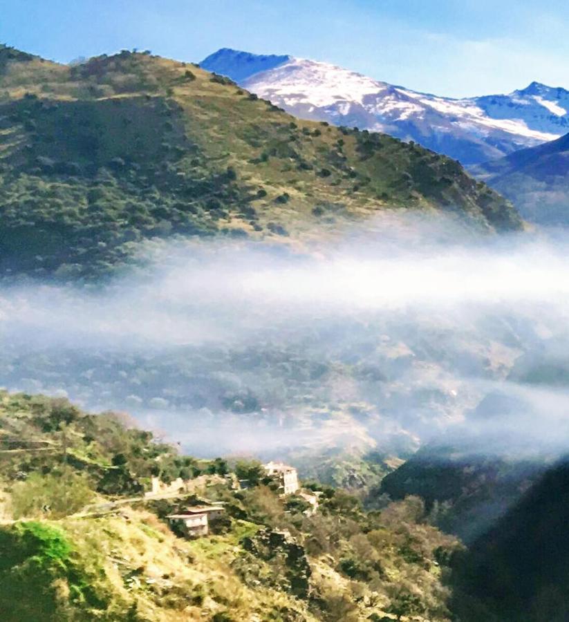 Гостьовий будинок Cortijo La Solana Гуехар-Сьєрра Екстер'єр фото