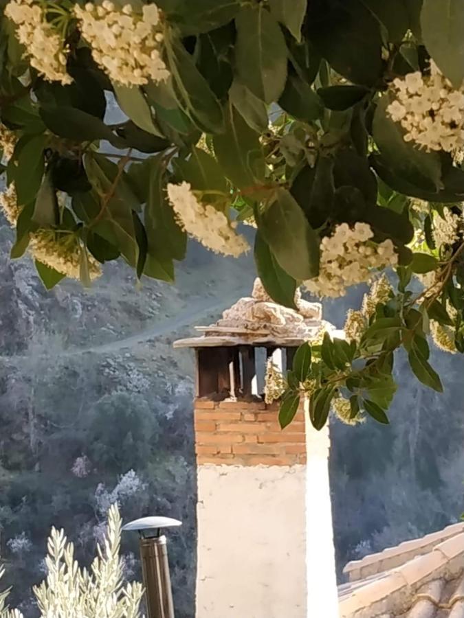 Гостьовий будинок Cortijo La Solana Гуехар-Сьєрра Екстер'єр фото