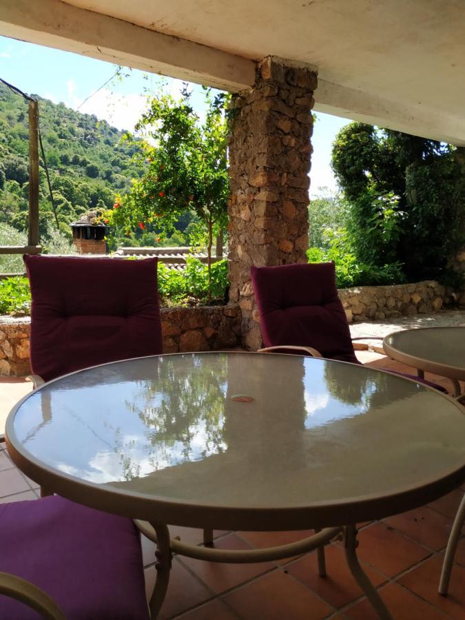 Гостьовий будинок Cortijo La Solana Гуехар-Сьєрра Екстер'єр фото