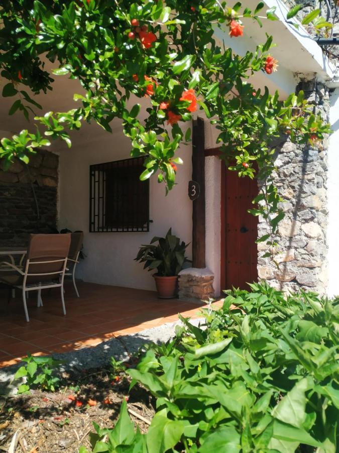 Гостьовий будинок Cortijo La Solana Гуехар-Сьєрра Екстер'єр фото